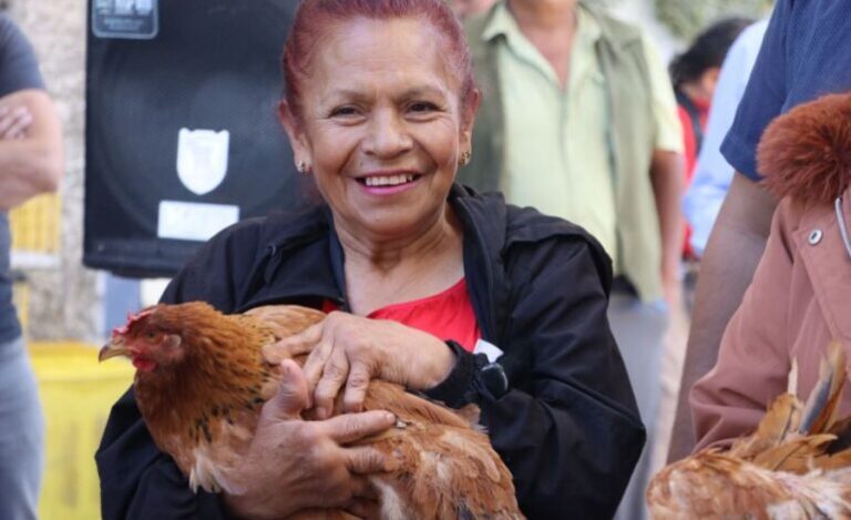 Con Entrega de Aves de Doble Propósito Gobierno de Hidalgo Fortalece La Economía de Las Mujeres Rurales