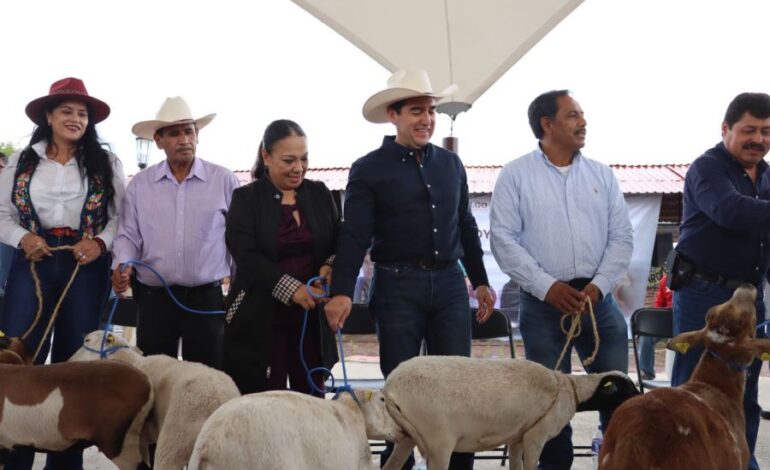 Más de 600 Productores de Tulancingo y Eloxochitlán  Recibieron,  Semovientes, Terneras, Semillas y Equipamiento Agrícola de  5.9 millones de pesos
