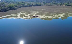 Gobierno Estatal Continúa Con Trituración de Lirio Acuático en la Presa Endho
