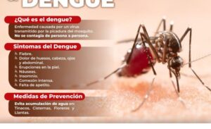 Llama IMSS Hidalgo Adoptar Medidas Para Evitar Casos de Dengue