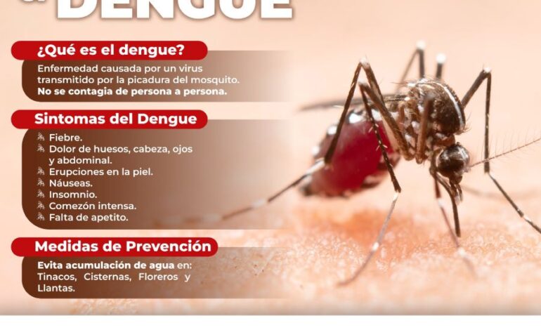 Llama IMSS Hidalgo Adoptar Medidas Para Evitar Casos de Dengue