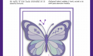 Recomienda IMSS Hidalgo Prestar Atención Ante Síntomas de Lupus en Mujeres