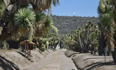 Anuncian Caminata Ciudadana Para Documentar El Estado del Cerro de Cubitos