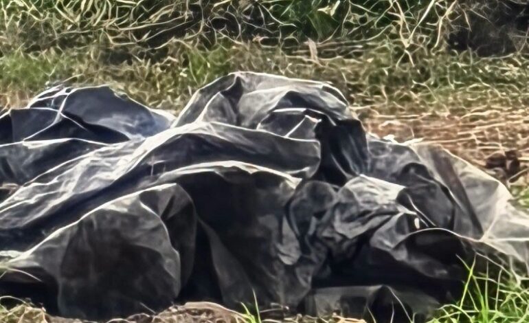 Encuentra la SSPEH Una Bolsa Negra con Restos Humanos en Estado de Descomposicion en el Dren Mimila en Tulancingo