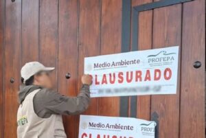Profepa Clausuro Diversas Construcciones y de Remoción de Tierra en Predio Ubicado Dentro de la Poligonal del Parque Nacional el Chico