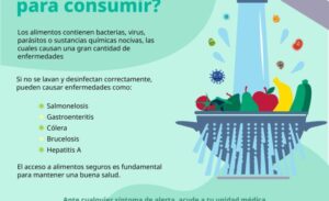Recomienda IMSS Hidalgo a Seguir Medidas Sanitarias Adecuadas En Alimentos