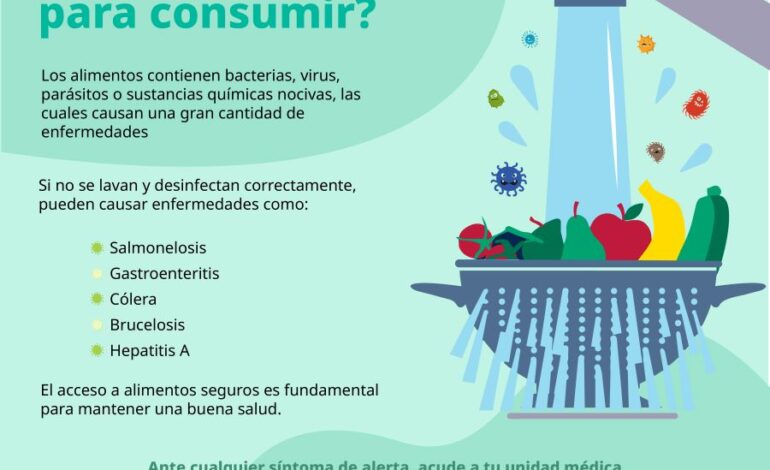 Recomienda IMSS Hidalgo a Seguir Medidas Sanitarias Adecuadas En Alimentos