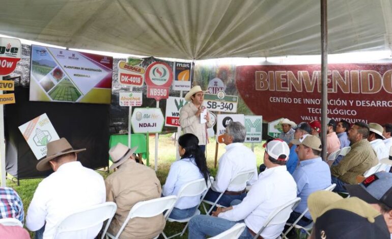 Entrega Saderh apoyos directos en la Huasteca y Sierra Alta