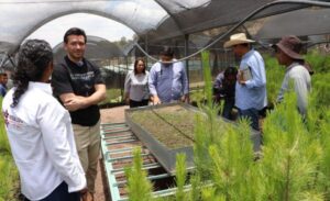 UPLAPH y Semarnath invitan a la ciudadanía a donar semillas de especies nativas para reforestar Hidalgo