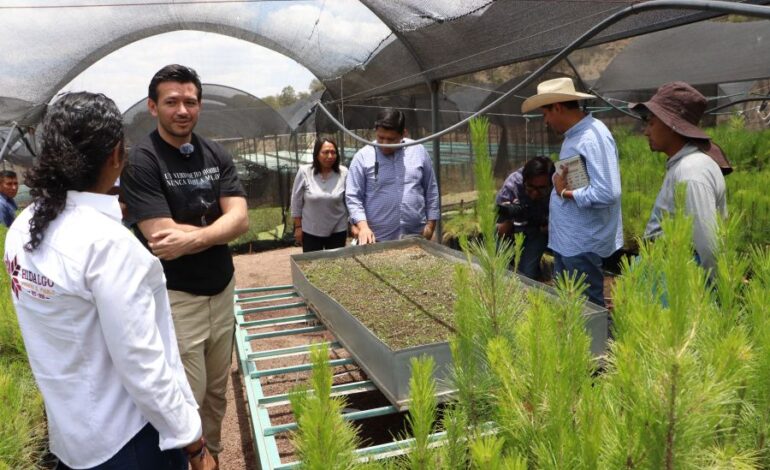 UPLAPH y Semarnath invitan a la ciudadanía a donar semillas de especies nativas para reforestar Hidalgo