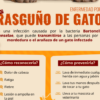 Alerta IMSS Sobre Síntomas de Enfermedad Por Rasguño de Gato