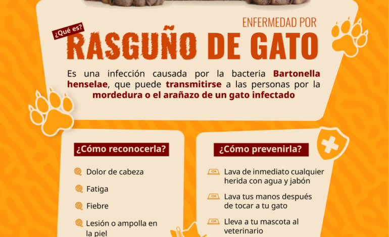 Alerta IMSS Sobre Síntomas de Enfermedad Por Rasguño de Gato