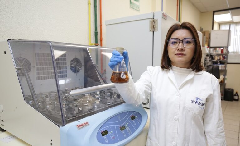 Crea Universitaria Garza Bebida de Cebada Para Prevenir Cáncer de Colon