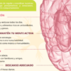 Invita IMSS Hidalgo a Cuidar Salud Cerebral