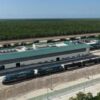 Presidenta Claudia Sheinbaum Anuncia Llegada de Las Primeras 12 Locomotoras del Tren Maya de Carga; Se Inaugura en 2027