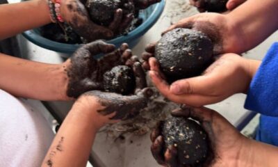 Promueve IHE la Educación Ambiental Con “Bombas de Vida”