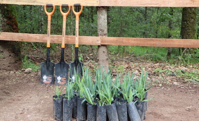 Semarnath conmemora el 44 aniversario del Parque Nacional El Chico con la plantación de 3 mil 500 árboles