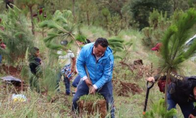 Semarnath y Ayuntamiento de Pachuca invitan a participar en la creación del primer refugio climático urbano de Hidalgo