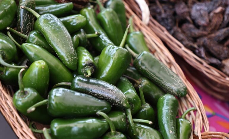Gobierno de Hidalgo Fortalece La Preservación del Chile Rayado, Patrimonio Gastronómico De La Sierra Gorda