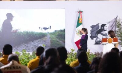 Presidenta Claudia Sheinbaum Presenta La Jornada Nacional de Reforestación 2026; Se Realizará El Próximo Domingo 9 de Agosto y Se Plantarán 6.6 Millones de Árboles y Plantas