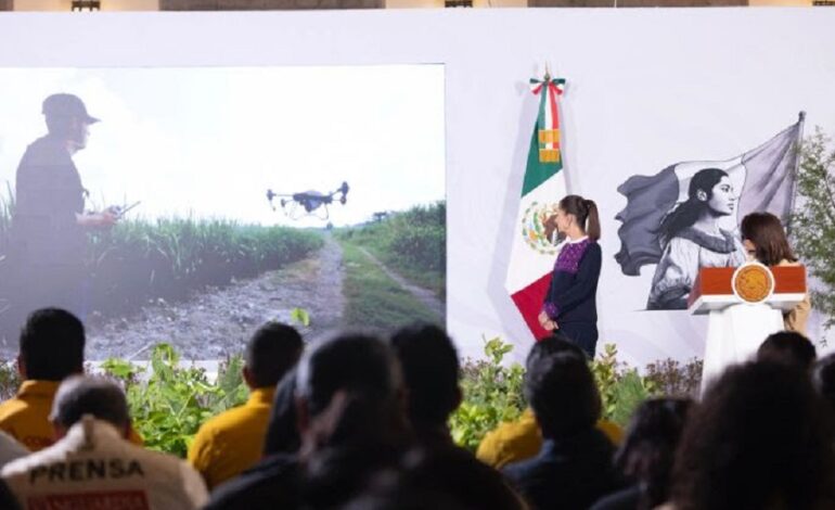 Presidenta Claudia Sheinbaum Presenta La Jornada Nacional de Reforestación 2026; Se Realizará El Próximo Domingo 9 de Agosto y Se Plantarán 6.6 Millones de Árboles y Plantas