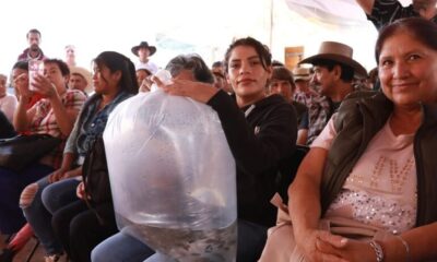 Gobierno estatal beneficia a 498 productoras y productores de las regiones Otomí-Tepehua y Valle de Tulancingo