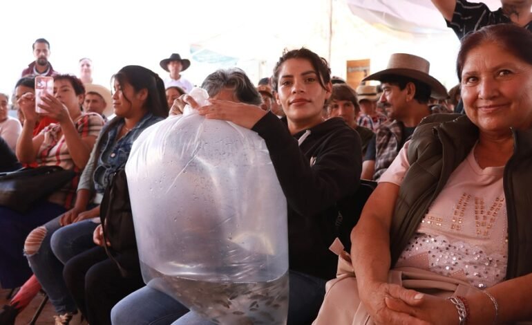 Gobierno estatal beneficia a 498 productoras y productores de las regiones Otomí-Tepehua y Valle de Tulancingo