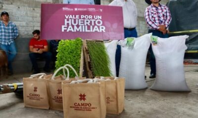 Impulso Histórico al Campo Hidalguense: Saderh Entrega 11.3 Mdp En Apoyos Directos a las y los Productores