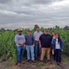 ITESHU y CIMMYT desarrollan alternativas para mejorar la producción agrícol