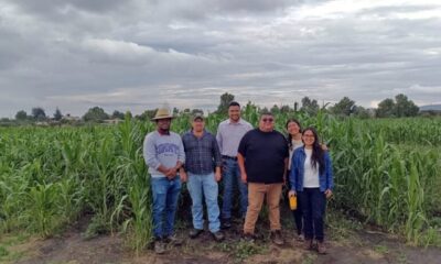 ITESHU y CIMMYT desarrollan alternativas para mejorar la producción agrícol