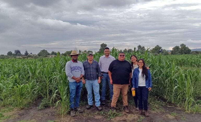 ITESHU y CIMMYT desarrollan alternativas para mejorar la producción agrícol