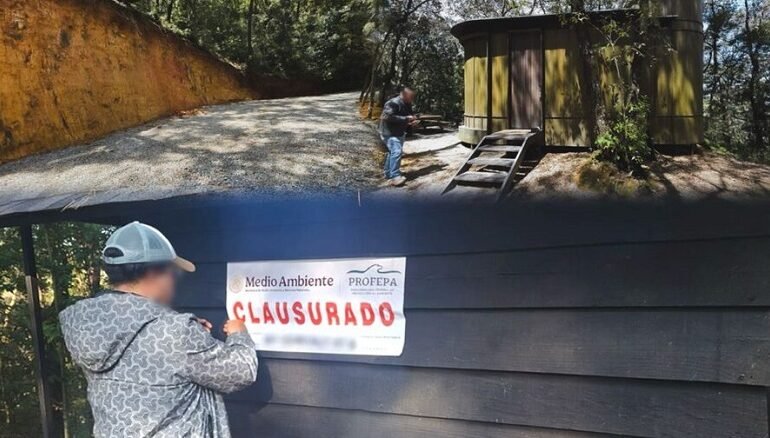 La Profepa Clausura el desarrollo turístico denominado Wander Cabins Ubicado en Mineral del Chico