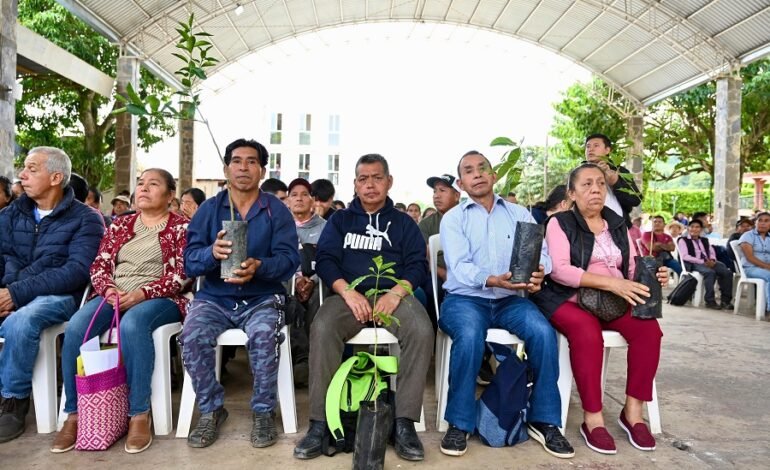Apoyos al Campo Impulsan La Productividad de Ocho Municipios de La Sierra y Huasteca