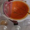 Desarrolla UPT Sistema de Bajo Costo Para Mejorar Imágenes de Retina