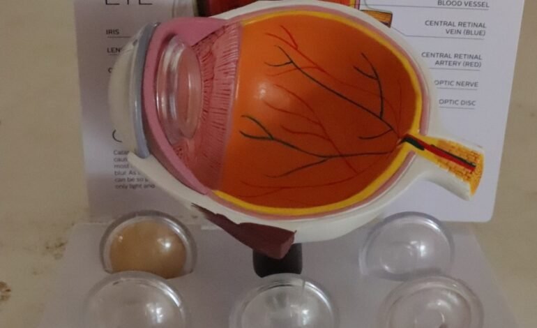 Desarrolla UPT Sistema de Bajo Costo Para Mejorar Imágenes de Retina