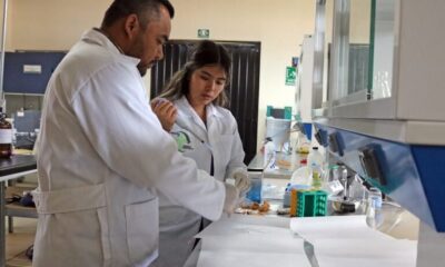 ITESHU transforma residuos de maguey en una alternativa al mixiote natural