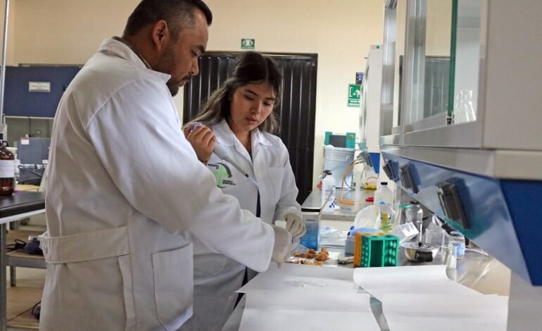 ITESHU transforma residuos de maguey en una alternativa al mixiote natural