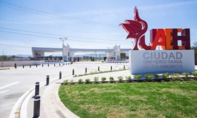 Lidera UAEH rescate científico y cultural de los agaves endémicos del estado