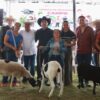 Más de 6.6 mdp fortalecen la productividad del campo de 8 municipios