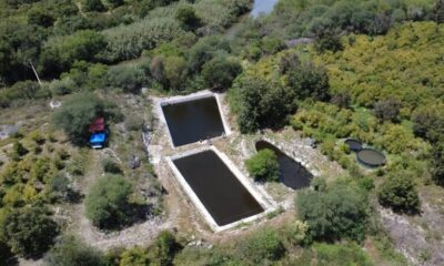 Programa ‘Invierte en Ti, Invierte en Hidalgo’ fortalece proyectos productivos de familias migrantes
