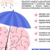 Promueve IMSS Hidalgo hábitos saludables para cuidar la salud mental