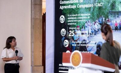 Sembrando Vida Brinda Bienestar, Restauración Ecológica y Conservación: Presidenta Claudia Sheinbaum; La Meta Es Beneficiar a 450 Mil Sembradores Y Plantar Mil 500 Millones de Árboles y Plantas