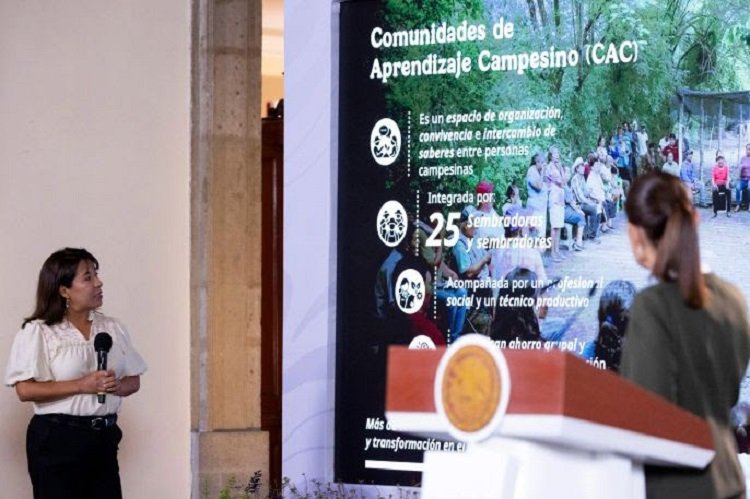 Sembrando Vida Brinda Bienestar, Restauración Ecológica y Conservación: Presidenta Claudia Sheinbaum; La Meta Es Beneficiar a 450 Mil Sembradores Y Plantar Mil 500 Millones de Árboles y Plantas