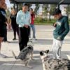SEPH promueve bienestar animal con caminata “Dejando Huella”