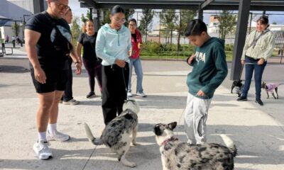 SEPH promueve bienestar animal con caminata “Dejando Huella”