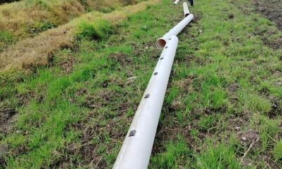 Tecnificación del campo transforma las parcelas del Valle del Mezquital: Miguel Tello